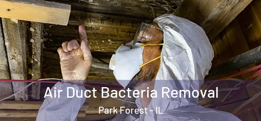  Air Duct Bacteria Removal Park Forest - IL