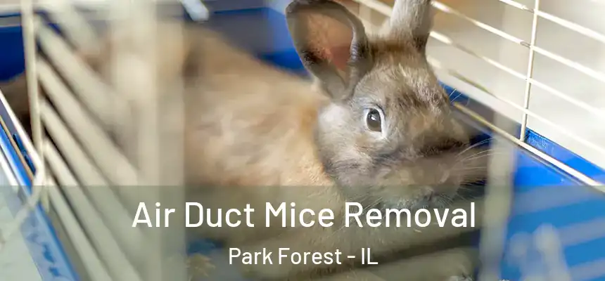 Air Duct Mice Removal Park Forest - IL