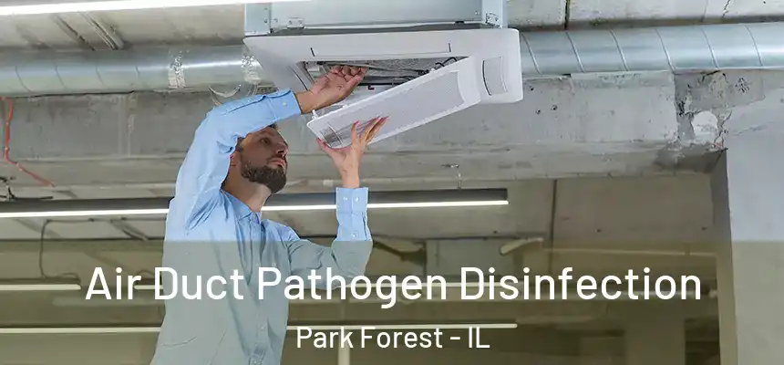 Air Duct Pathogen Disinfection Park Forest - IL
