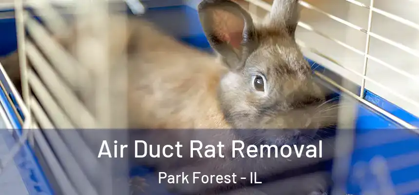  Air Duct Rat Removal Park Forest - IL