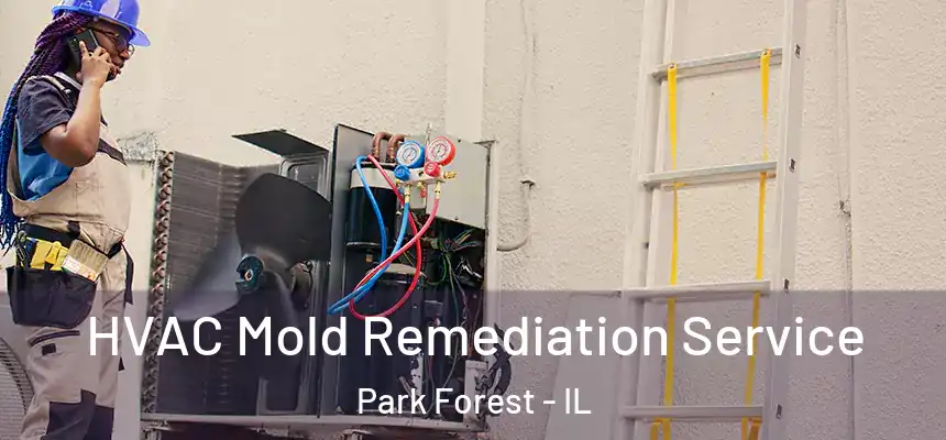 HVAC Mold Remediation Service Park Forest - IL