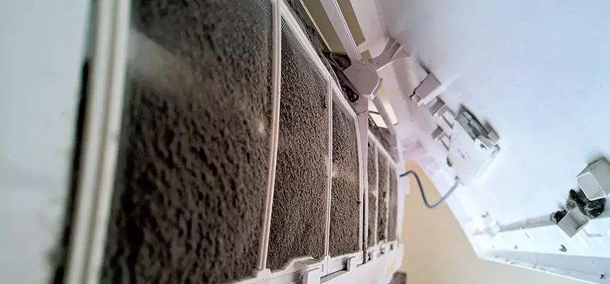 Preventive Air Duct Bacteria Removal in Park Forest