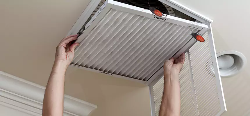 Preventive Cockroach-Proofing for Ducts in Park Forest