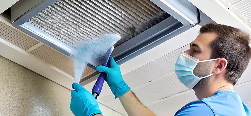 Proactive Dryer Vent & Auxiliary Duct Pollen Cleanup in Park Forest, IL
