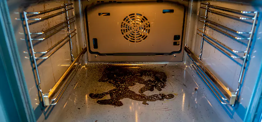 Our Dryer Vent Mold Cleaning Services in Park Forest, IL