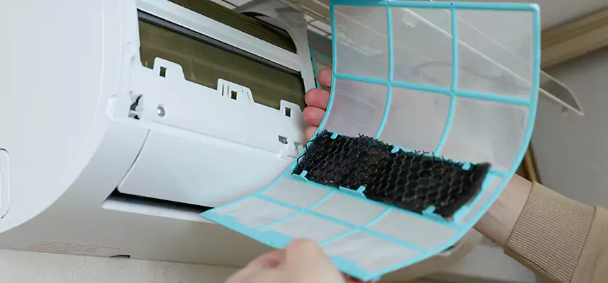 Gentle Ductwork Odor-Control Pet Dander Duct Cleaning in Park Forest, IL