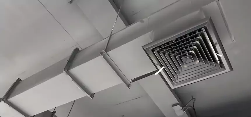 Our Rodent Droppings In Vents Services in Park Forest, IL