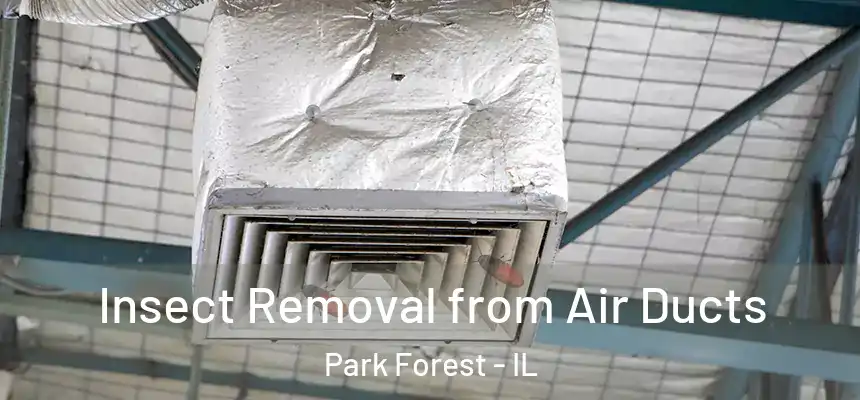  Insect Removal from Air Ducts Park Forest - IL