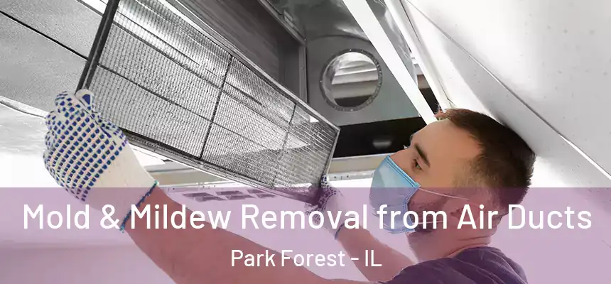  Mold & Mildew Removal from Air Ducts Park Forest - IL