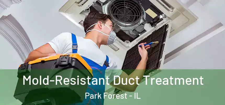 Mold-Resistant Duct Treatment Park Forest - IL