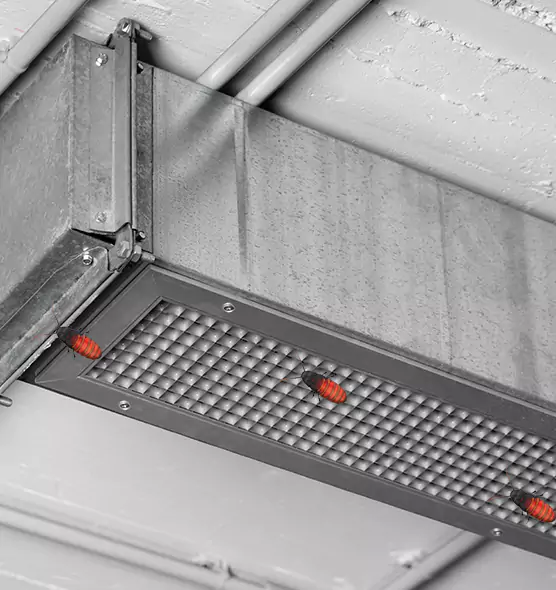 About Air Duct Cockroach Removal in Park Forest, IL