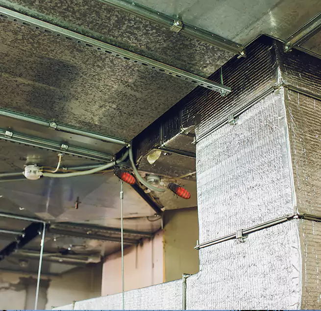 Why Homeowners & Businesses Trust Us in Park Forest, IL?