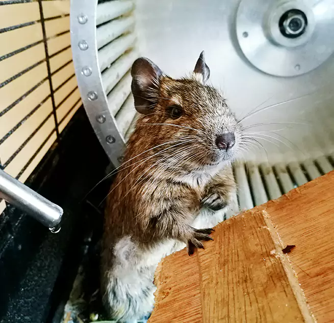 Why Homeowners & Businesses Trust Us Park Forest, IL