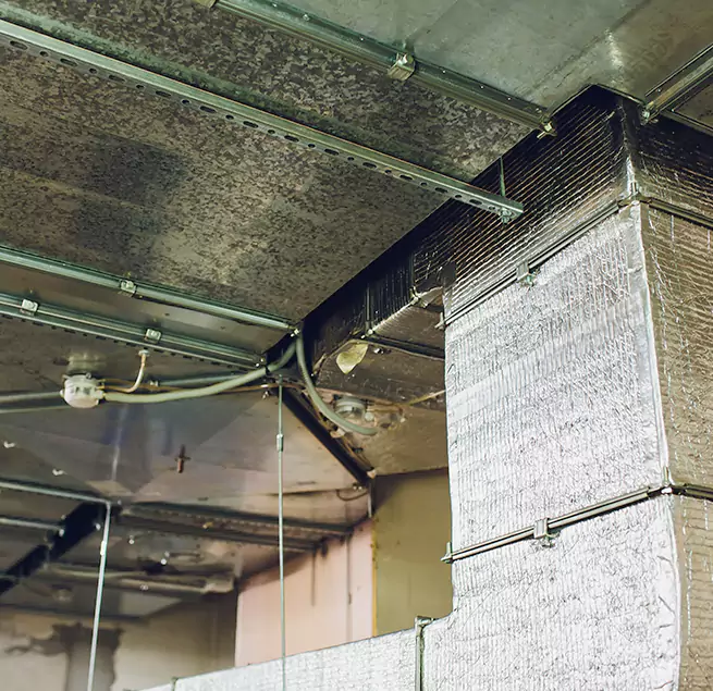 Why Homeowners & Businesses Trust Us in Park Forest, IL?